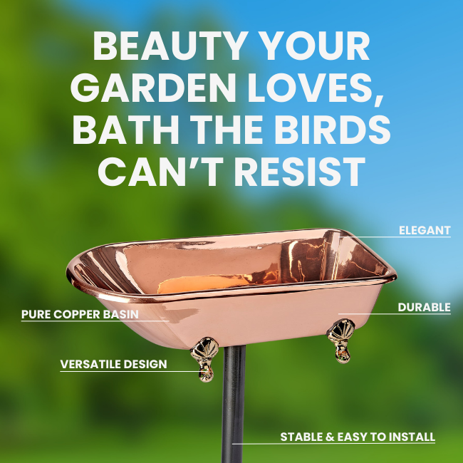 Elegant Copper Wing Birdbath made of pure copper that develops an aged patina over time. Sturdy 30-inch powder-coated steel pole with a 2-pronged base ensures stability in your garden or yard
