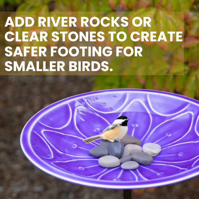 Eye-catching purple steel birdbath with a hand-embossed floral design, finished with UV-resistant epoxy for vibrant outdoor use. The birdbath's shallow 2⅛-inch depth is ideal for birds to bathe and perch comfortably.