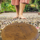 Close-up of a handcrafted dragonfly design on a concrete stepping stone with detailed wings and an autumn wheat color, ideal for garden paths.


