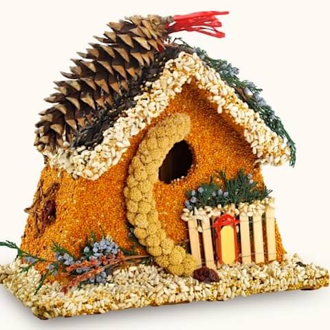 Bed & Breakfast Chalet Edible Birdhouse
