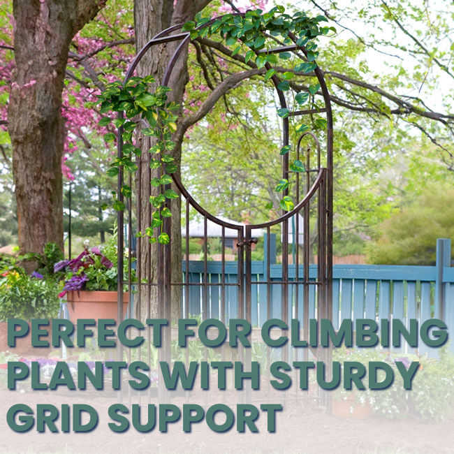 Close-up view of the Secret Garden Arch & Gate's elegant gate structure and arching top.