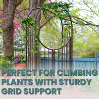 Close-up view of the Secret Garden Arch & Gate's elegant gate structure and arching top.
