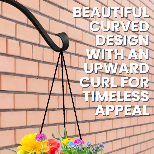 A durable wrought iron hook mounted on a wall, showcasing its beautiful scroll design with an upward curl, perfect for hanging plants or bird feeders.