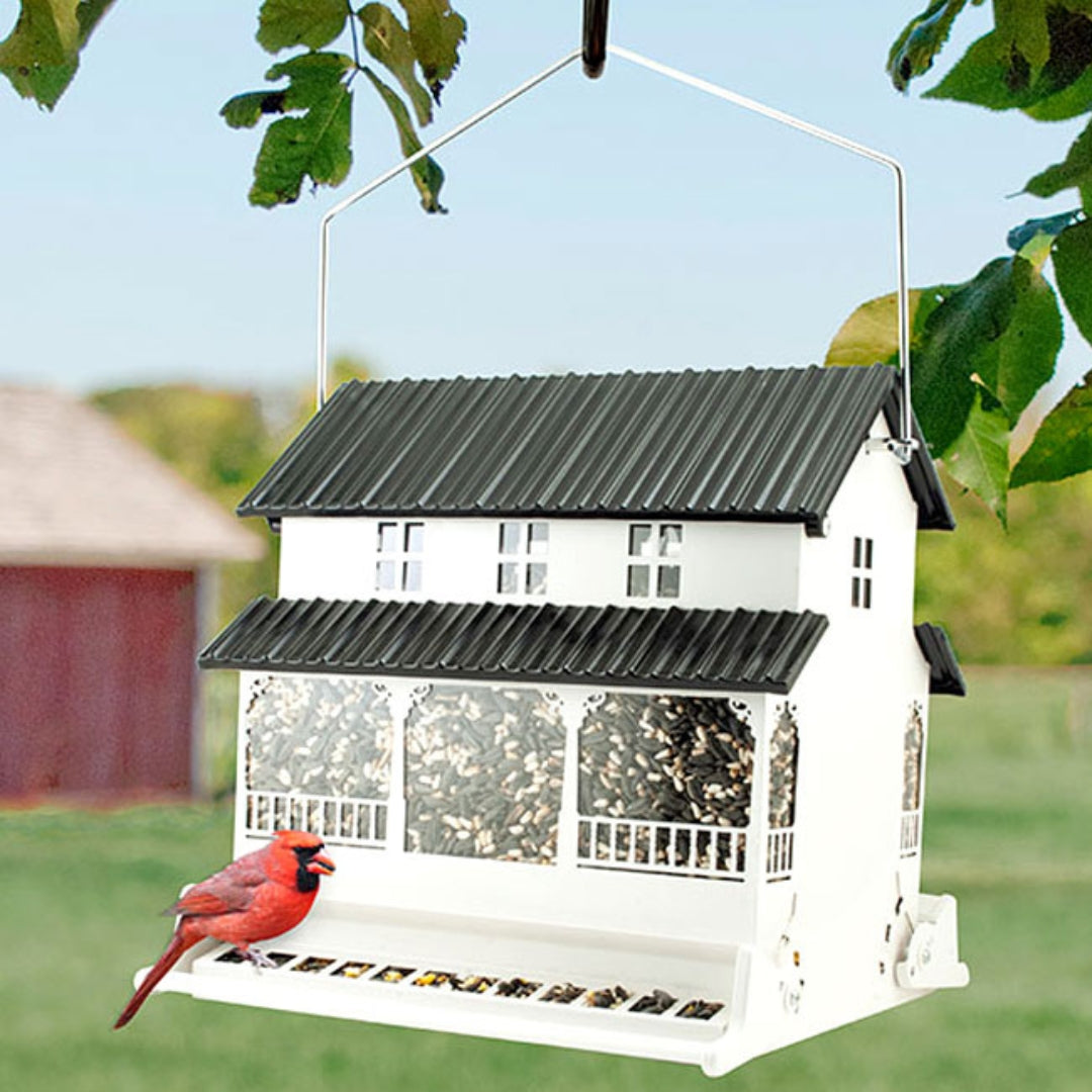 Farmhouse Style Squirrel Resistant Bird Feeder, ideal for bird lovers who want to enjoy feeding birds without worrying about squirrels