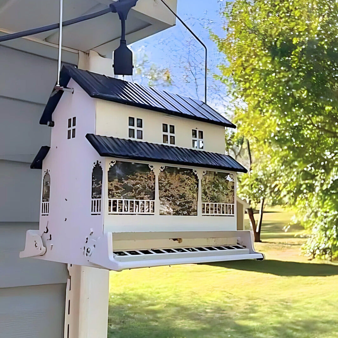 Farmhouse Style Squirrel Resistant Bird Feeder, ideal for bird lovers who want to enjoy feeding birds without worrying about squirrels
