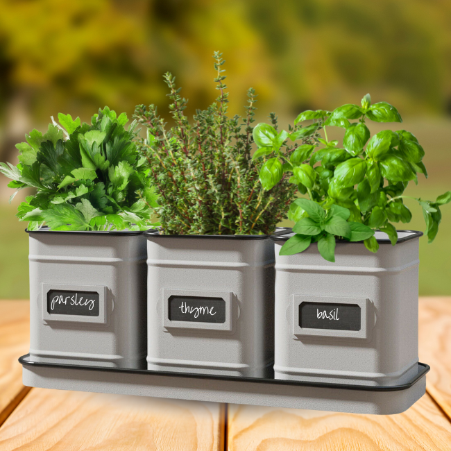 Herb set with removable planters featuring basil and a chalkboard label, with coordinating tray