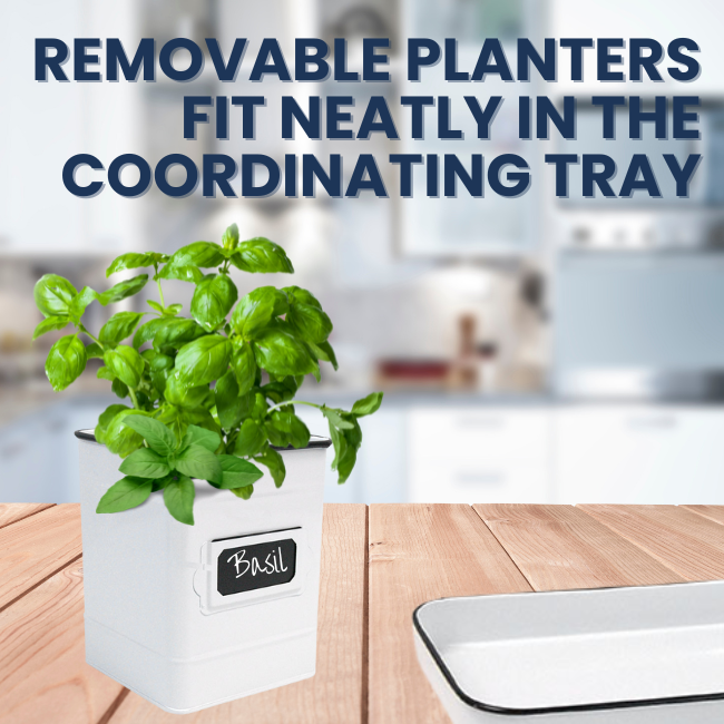 Herb planters labeled with chalkboard plates for easy customization, sitting on a coordinating tra
