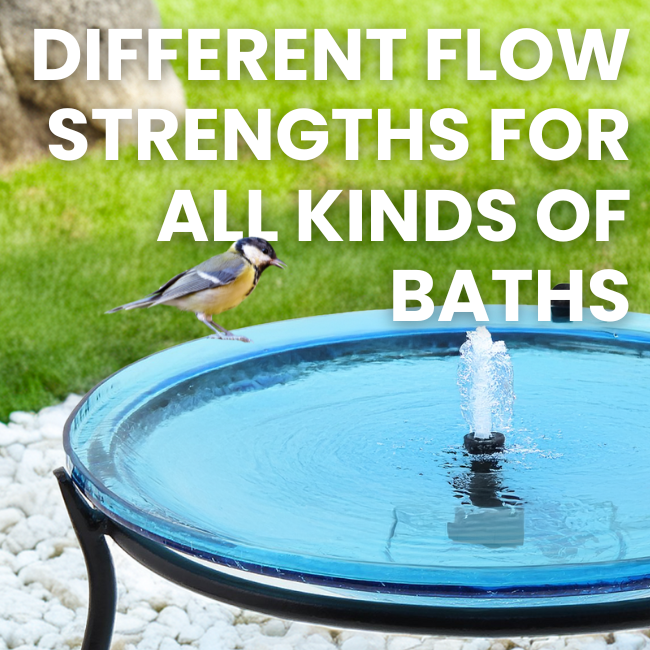 Flexible Solar Fountain Pump Kit with a long 10-foot cable, offering easy placement options for your birdbath. The separate solar panel provides the convenience of optimal sunlight exposure while keeping the water fountain flowing