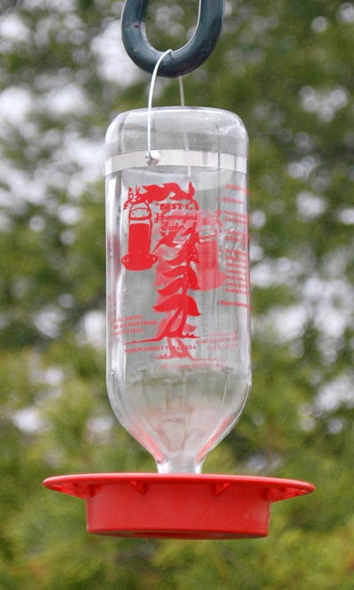 Glass Bottle Hummingbird Feeder