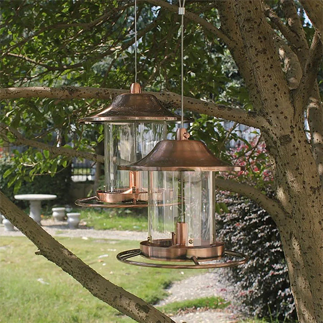 Gold Rush Lantern Bird Feeder