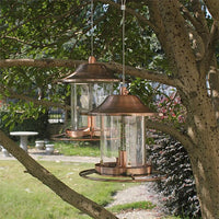 Gold Rush Lantern Bird Feeder