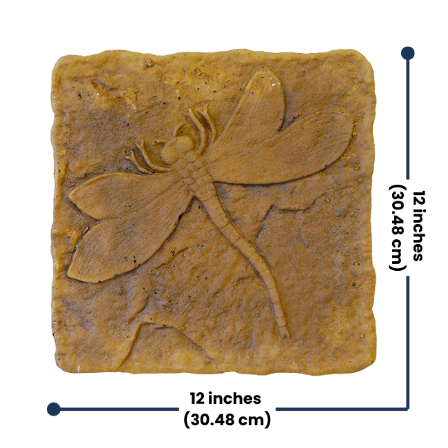 Golden Wing Dragonfly Stepping Stone dimensions with a clear 12"L x 12"W size.