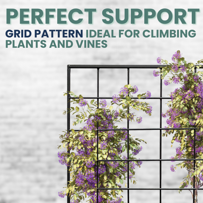 The Gridlock Garden Trellis with a geometric grid pattern, adorned with cascading purple flowers, ideal for supporting climbing vines.