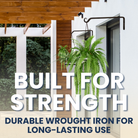 Durable wrought iron wall hook holding a hanging plant, providing support for large items like baskets and lanterns