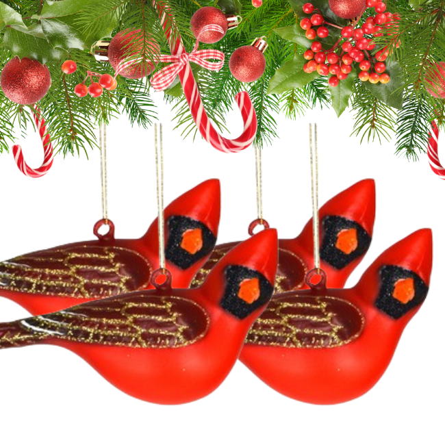 Holiday Bird Ornament Bundles