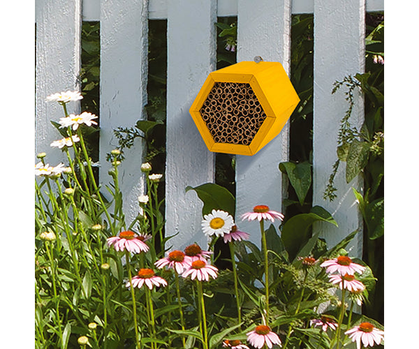 Modular Bee Hive Honeycomb Mason Modular Bee Habitat | Mason Bee House