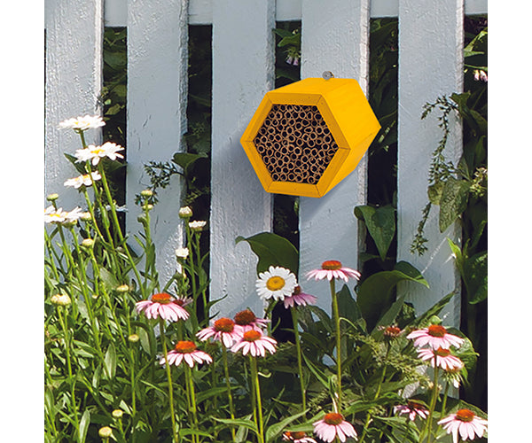 Honeycomb Modular Bee Habitat