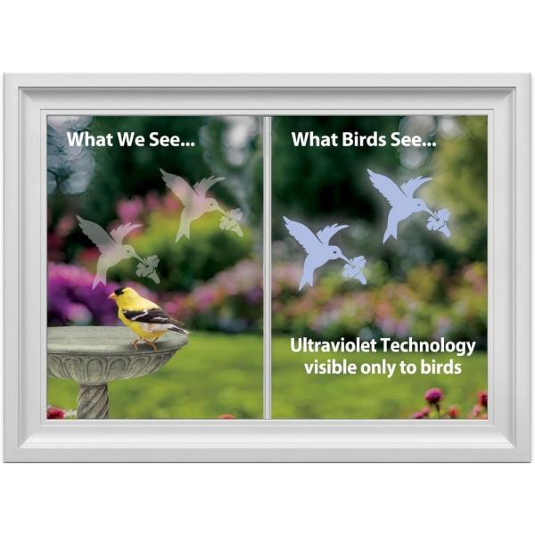 Comparison of what humans and birds see with ultraviolet technology, featuring a bird bath and birds.