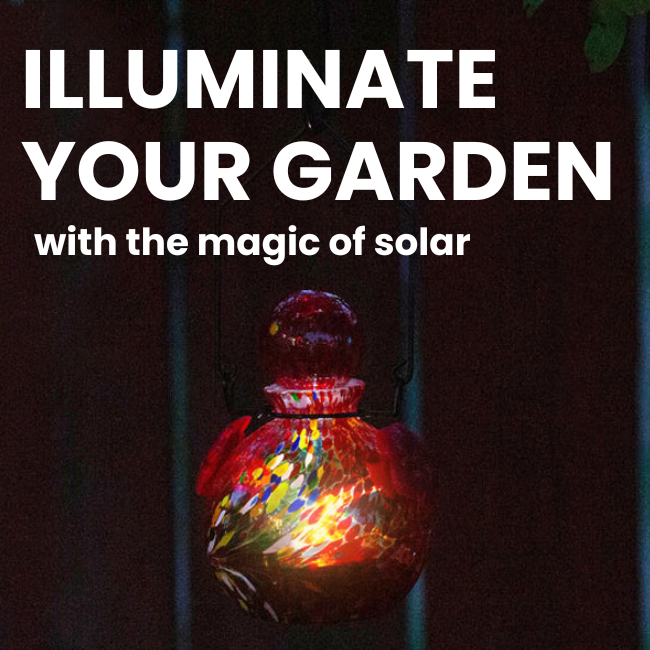 Solar Hummingbird Feeder - 16oz