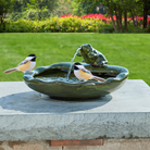 The fountain in use, attracting small birds for a refreshing drink, emphasizing its appeal to wildlife.