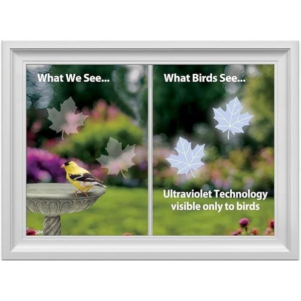Comparison of what humans and birds see with ultraviolet technology, featuring a bird and leaves.