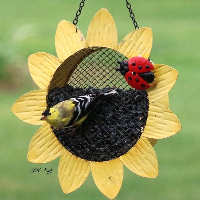 Multi-Use Sunflower Ladybug Mesh Bird Feeder
