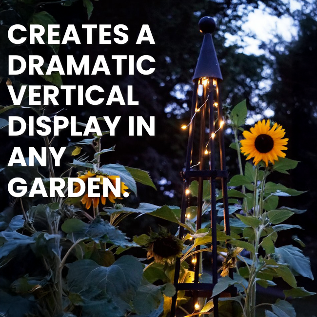 Obelisk Oasis Climbing Trellis with lights creating a dramatic effect at sunset