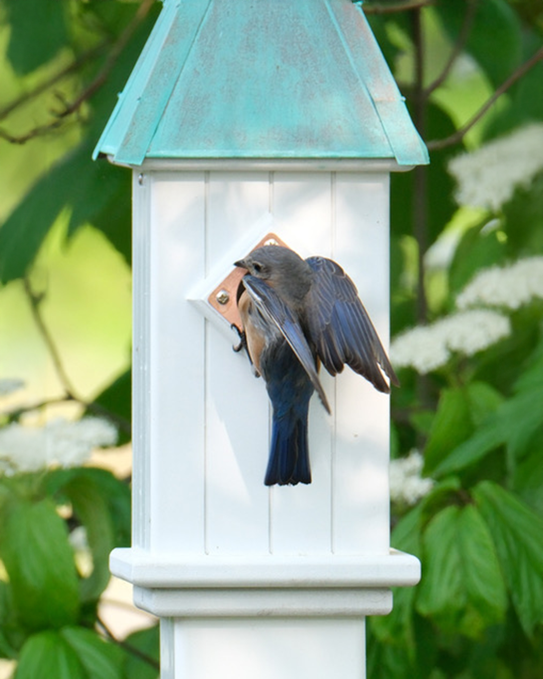Copper Roof Bluebird House-Patina