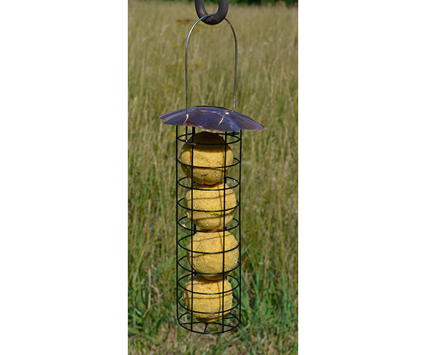 Bird feeder with yellow seeds hanging in a grassy field
