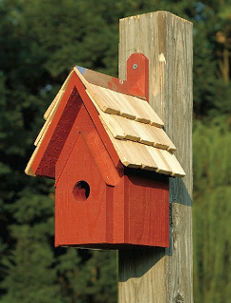 Rustic Bluebird Manor 3 Colors