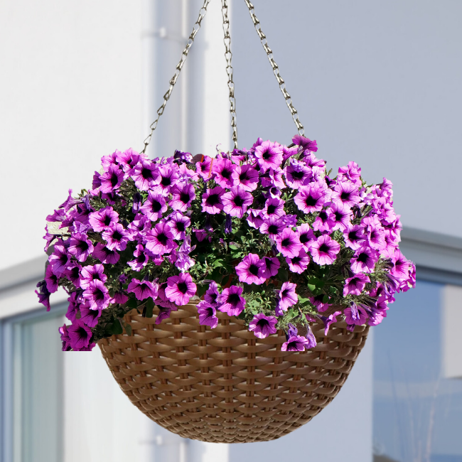Vibrant hanging flower planter with purple petunias hanging on a porch