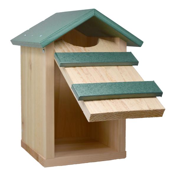 Screech Owl House with Open Door for cleanout