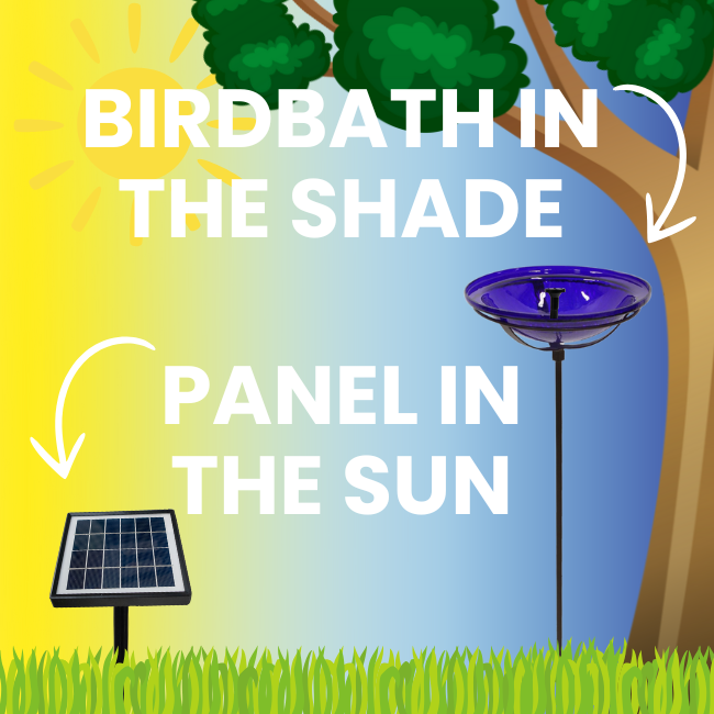 Efficient solar-powered birdbath setup with the solar panel placed in full sun and the birdbath in the shade. This ensures the solar fountain operates smoothly while providing a comfortable bathing spot for birds