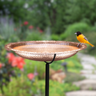Beautiful copper bird bath that ages gracefully with a natural verde patina. Medium 13.5-inch size with a stable 36-inch steel pole, perfect for bird bathing and attracting feathered friends.