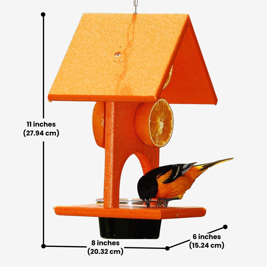 Songbird Essentials Jelly & Fruit Feeder made from recycled plastic, ideal for attracting songbirds
