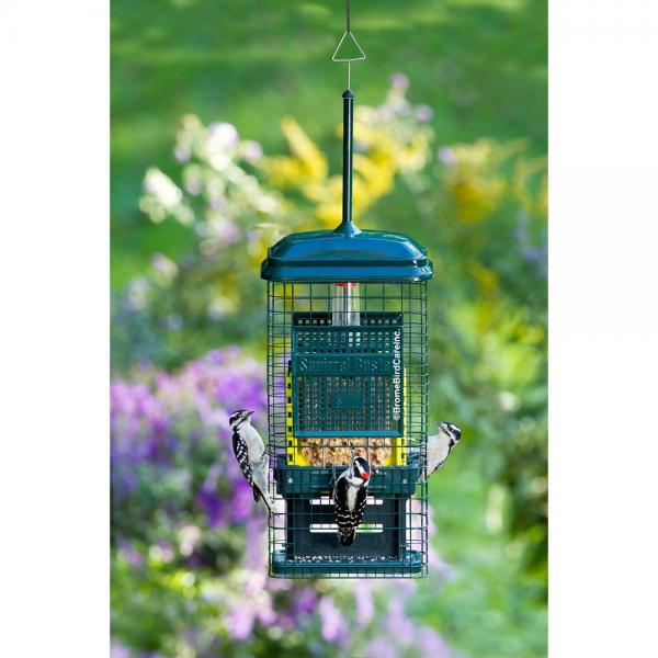 Bird feeder with birds perched on it against a blurred garden background