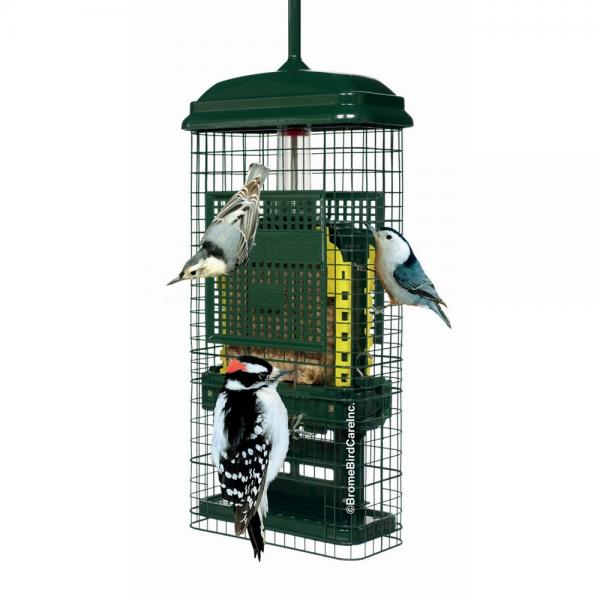 Green bird feeder with birds perched on it against a white background