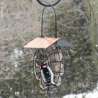 Bird feeder with a woodpecker design against a blurred natural background