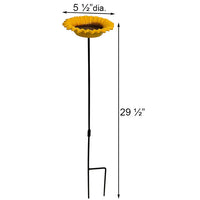 Sunflower Bird Feeder Kit