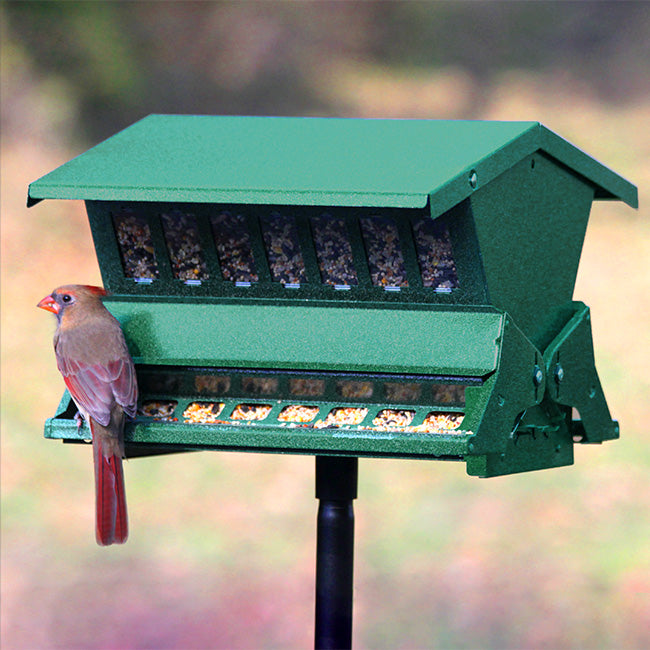Bird and Pest Deterrents Carpenter Bee Trap Nuisance Birds The