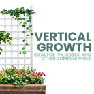 A white vinyl trellis supporting climbing ivy, ideal for vertical growth in gardens, with a simple and classic design.