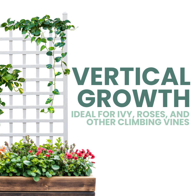 A white vinyl trellis supporting climbing ivy, ideal for vertical growth in gardens, with a simple and classic design.