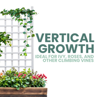 A white vinyl trellis supporting climbing ivy, ideal for vertical growth in gardens, with a simple and classic design.