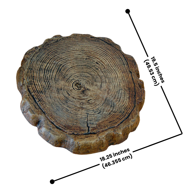 Single wooden log stepping stone with a close-up view of its rings and natural texture, with dimensions of 19.5 inches diameter.