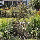 Black wrought iron arch garden trellis with a flowering vine climbing it in a sunny garden bed