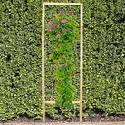 Tall cedar frame wire grid climbing trellis with a flowering vine against a green hedge