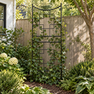 Geometric graphite wrought iron garden trellis covered in climbing ivy beside a wooden fence