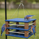 hanging bluebird feeder with mealworms and 3 bluebirds eating 