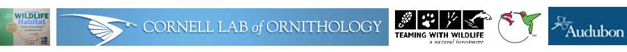 TheBirdhouseChick is a Certified Habitat, Member Cornell Lab and Audubon Society, Business Sponsor The Hummingbird Society