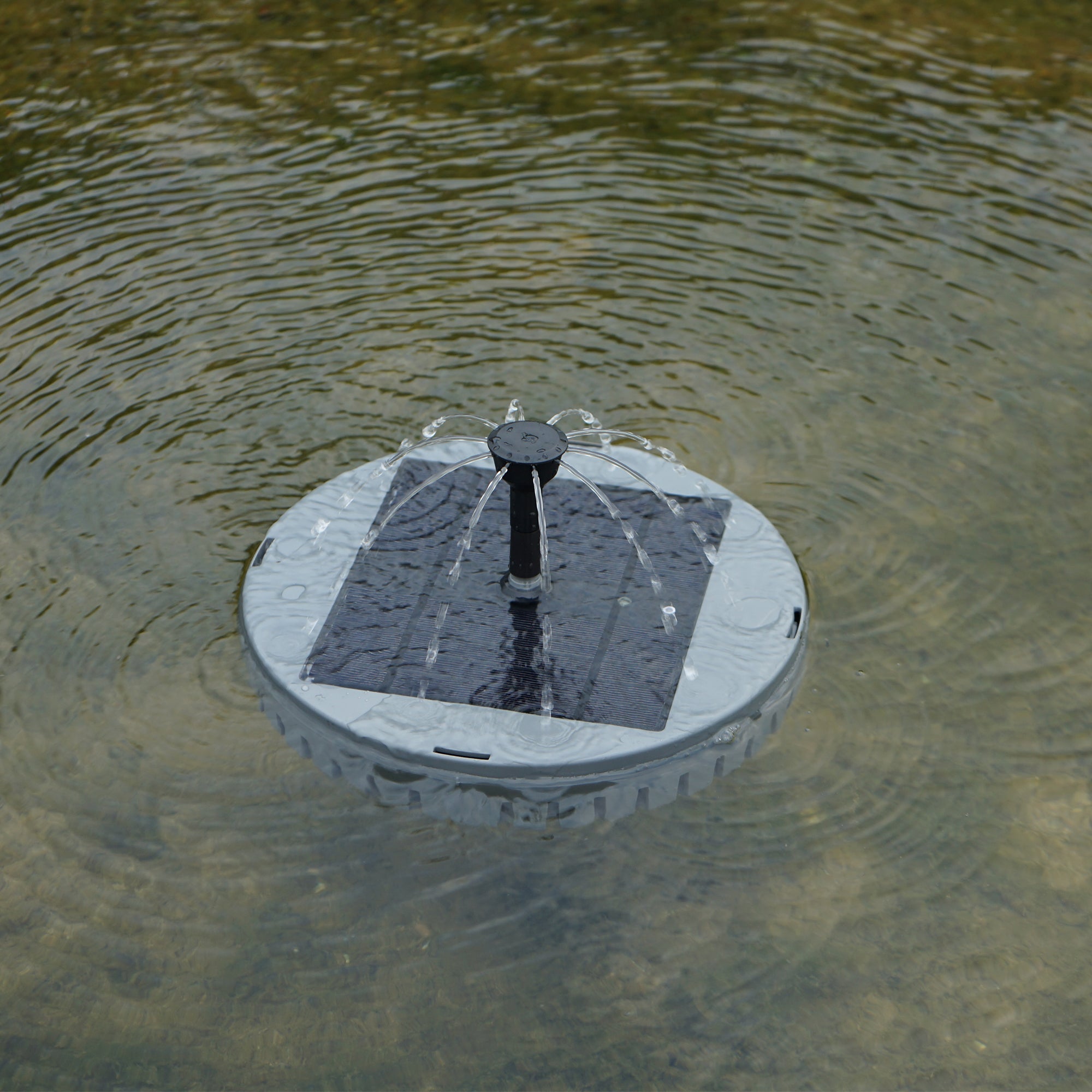 Solar fountain insert floating in a garden pond with a bubbling 360-degree spray.